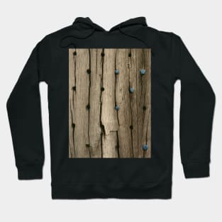 The old castle door Hoodie